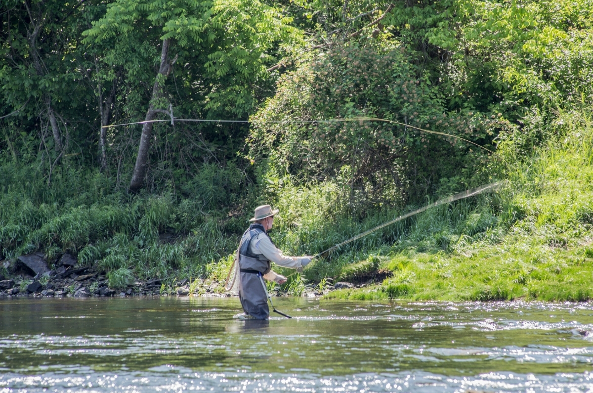 River Trout Fishing How to Trap Trout in Rivers The Teaching Imperative