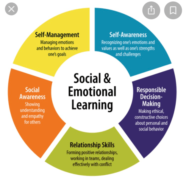 Is SEL (Social Emotional Learning) New? Nope! Teacher Buddy Helps