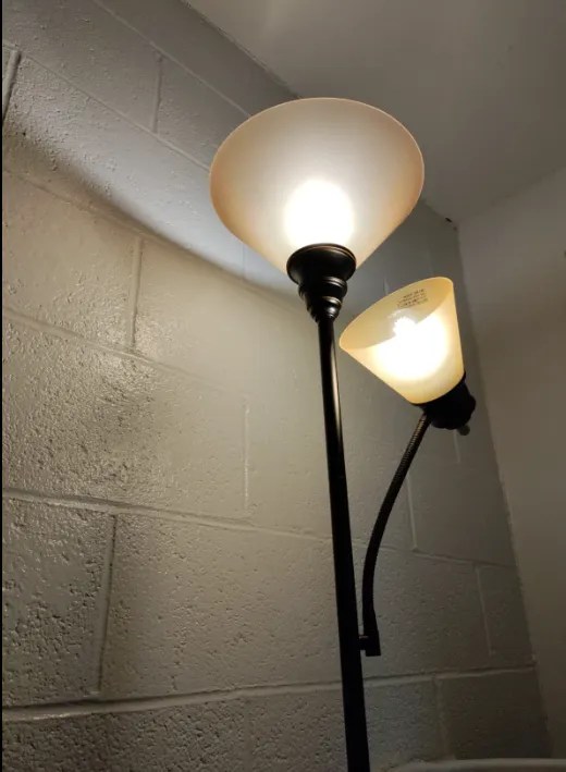 7 Best Tall Classroom Lamps Nyla's Crafty Teaching