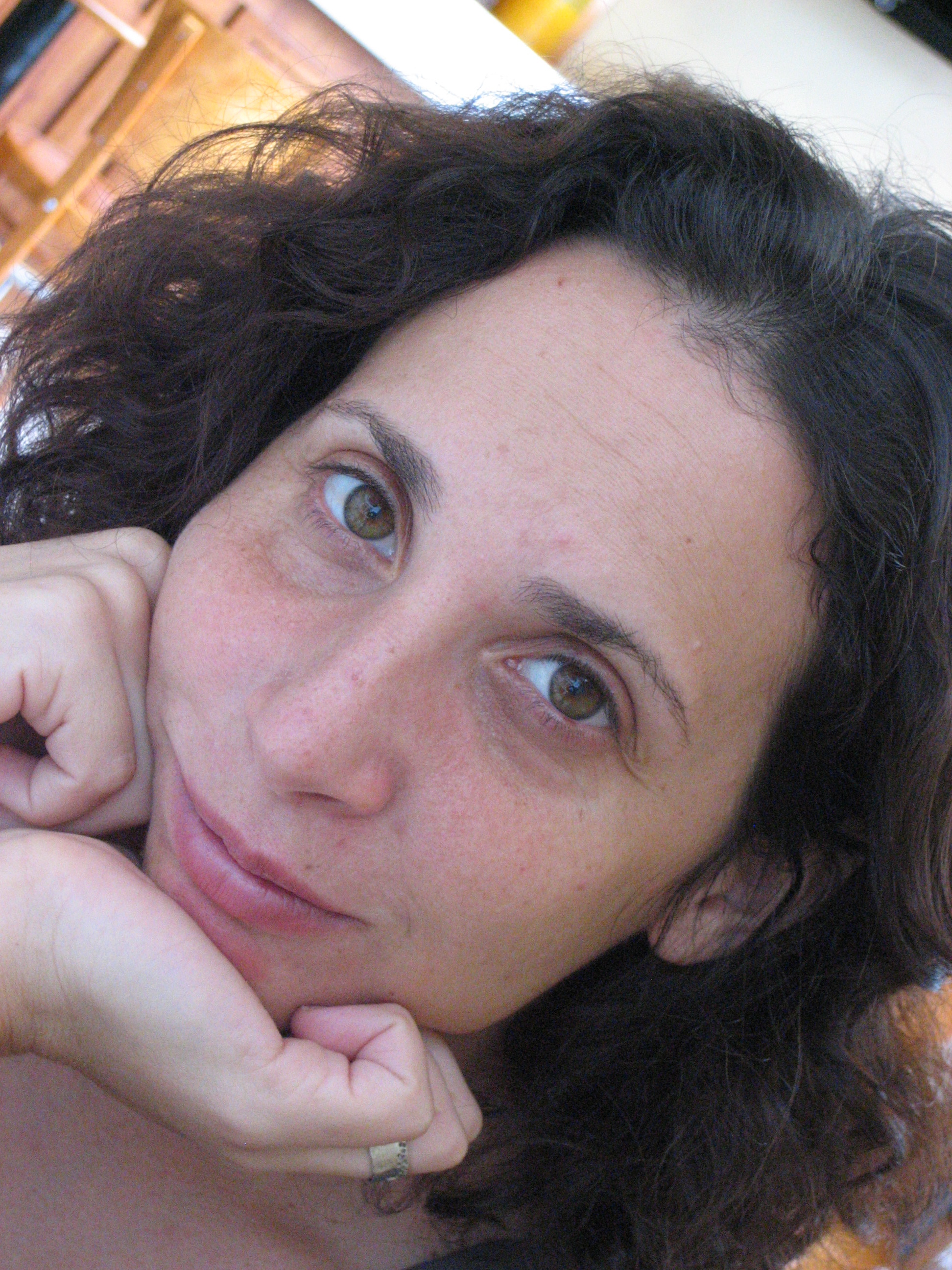 Gotham Gazette Lauren Davenport The Waterfront Debate