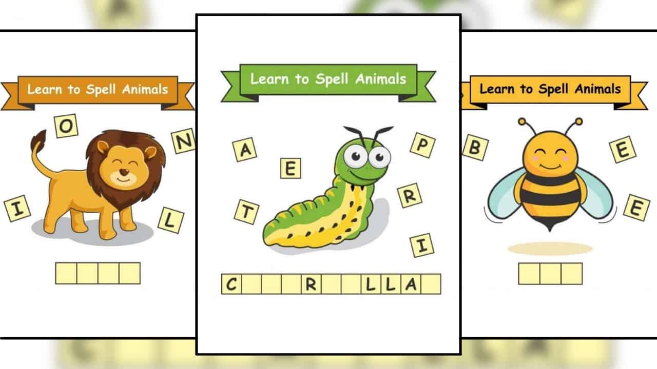 Learn to spell animal names Teacher Tayo