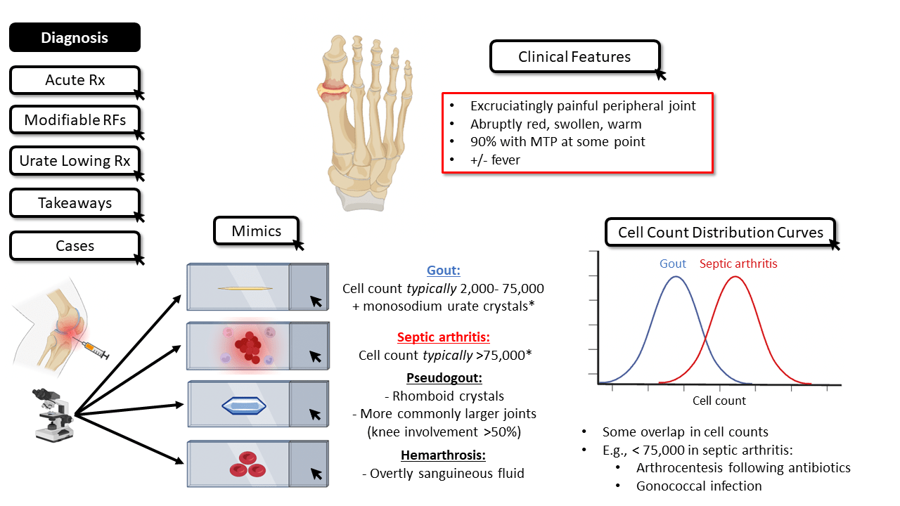 Readytogo Teaching Materials for Clinical Medicine(04)