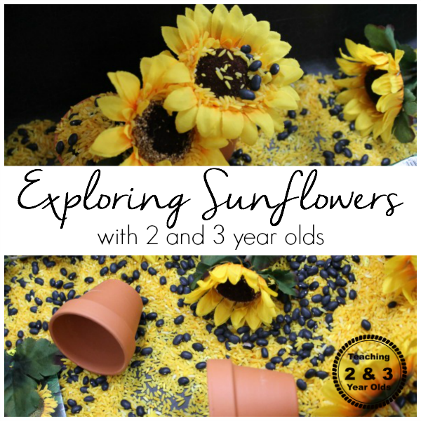 Preschool Sensory Bin with Sunflowers