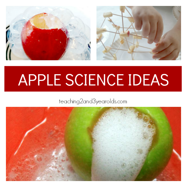 Fun Preschool Apple Theme Activities