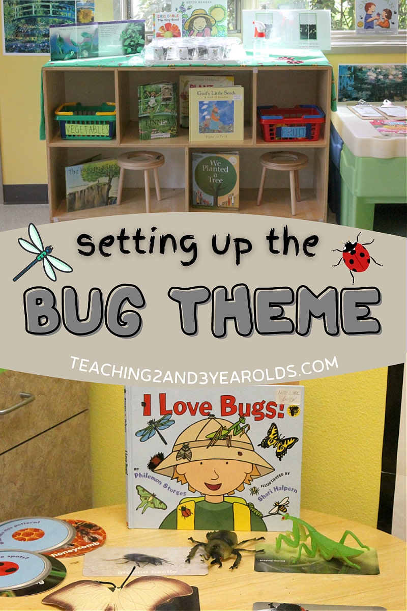 Setting Up the Toddler and Preschool Classroom for the Bug Theme
