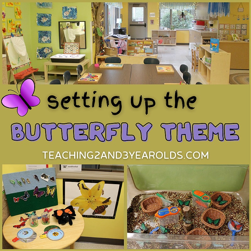 Setting up the Classroom for the Butterfly Theme