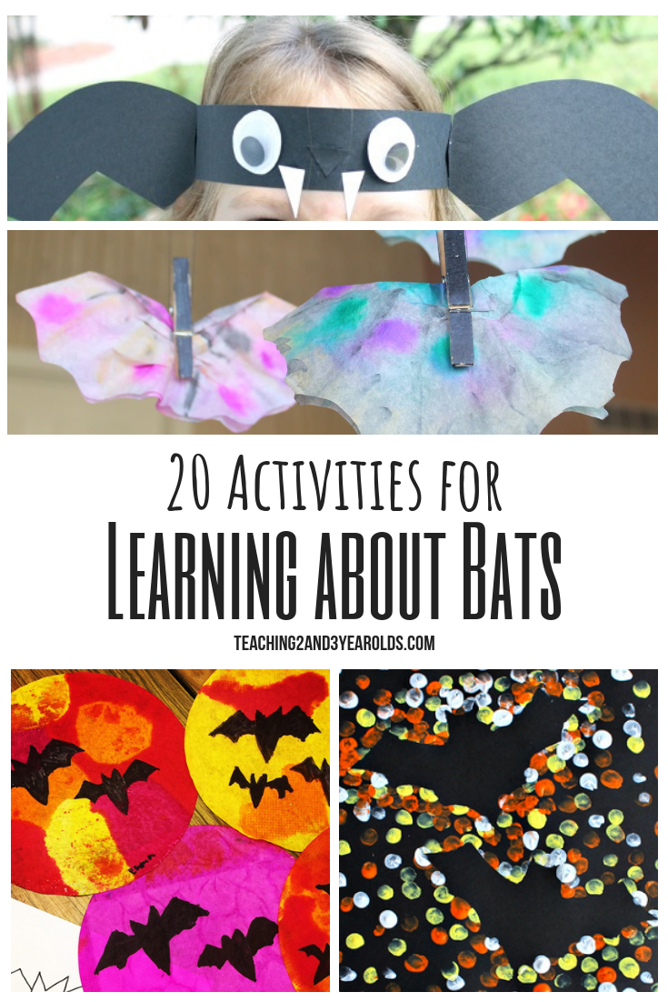 20 Activities for Learning About Bats