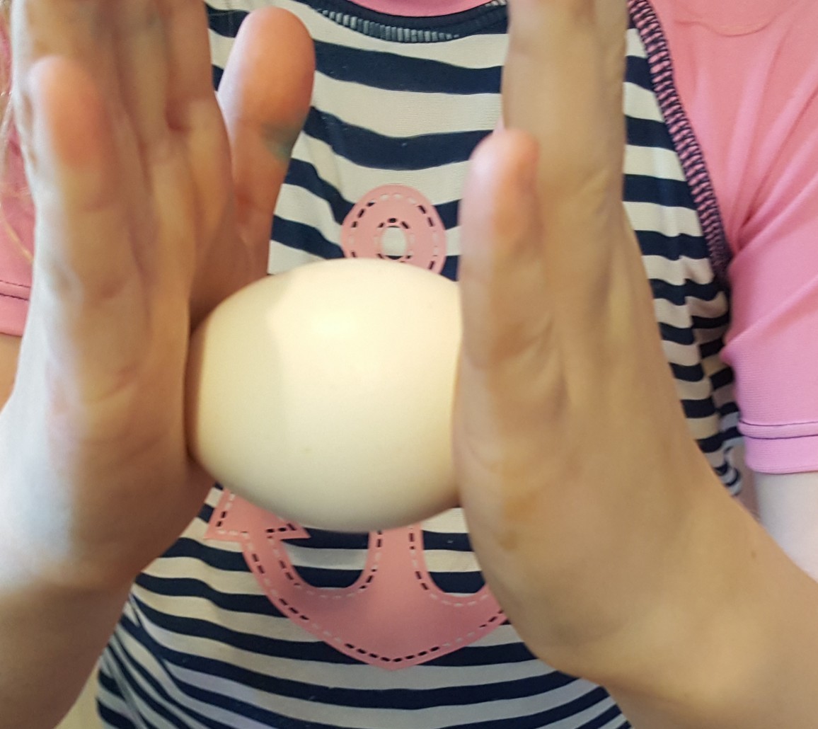 Science Experiment for Kids All About Eggs HandsOn
