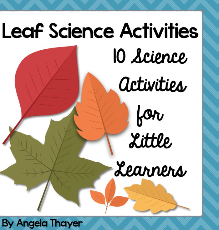 Leaf Science Activities Packet