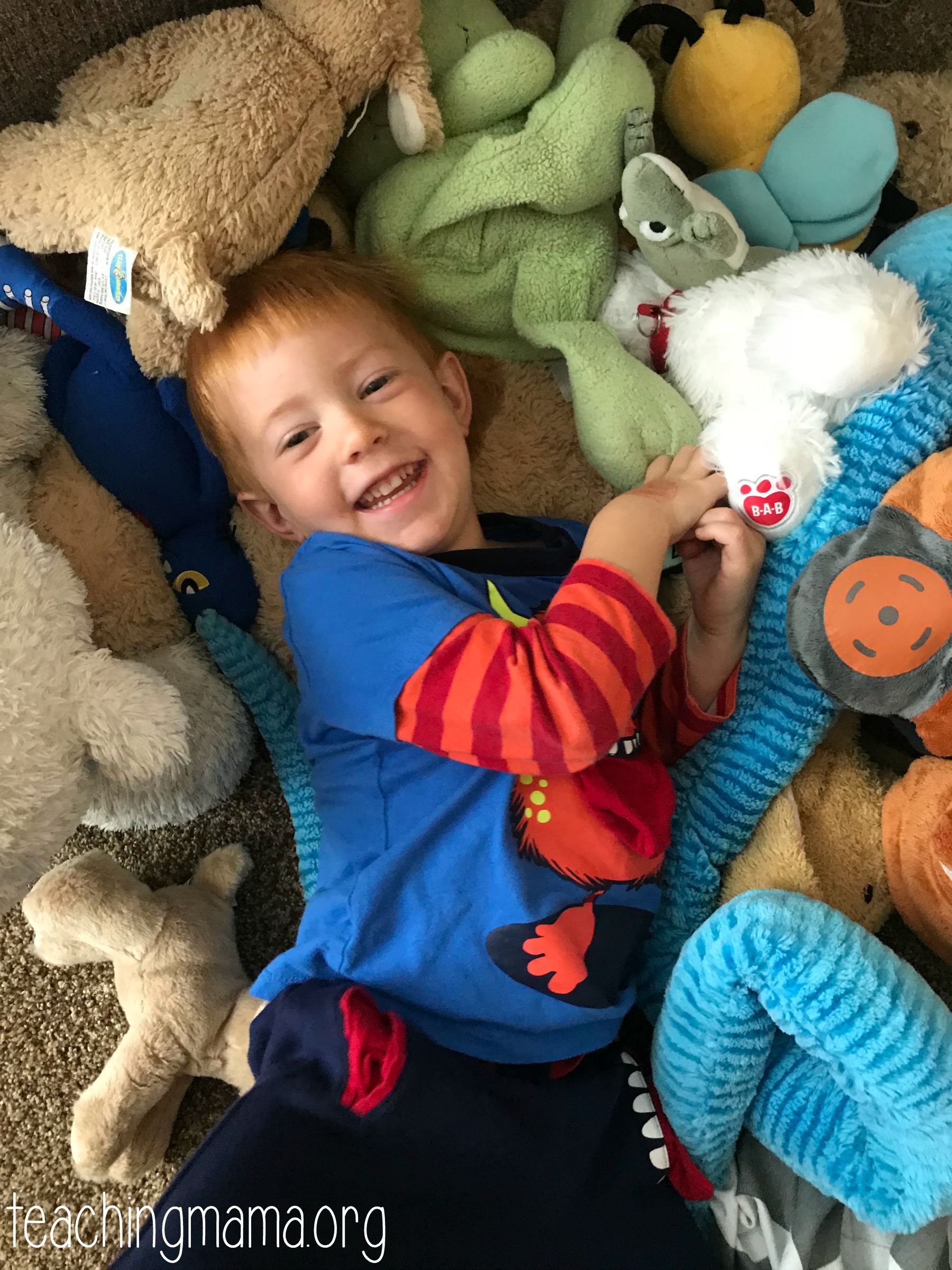 Bean Bag To Put Stuffed Animals In atelieryuwa.ciao.jp