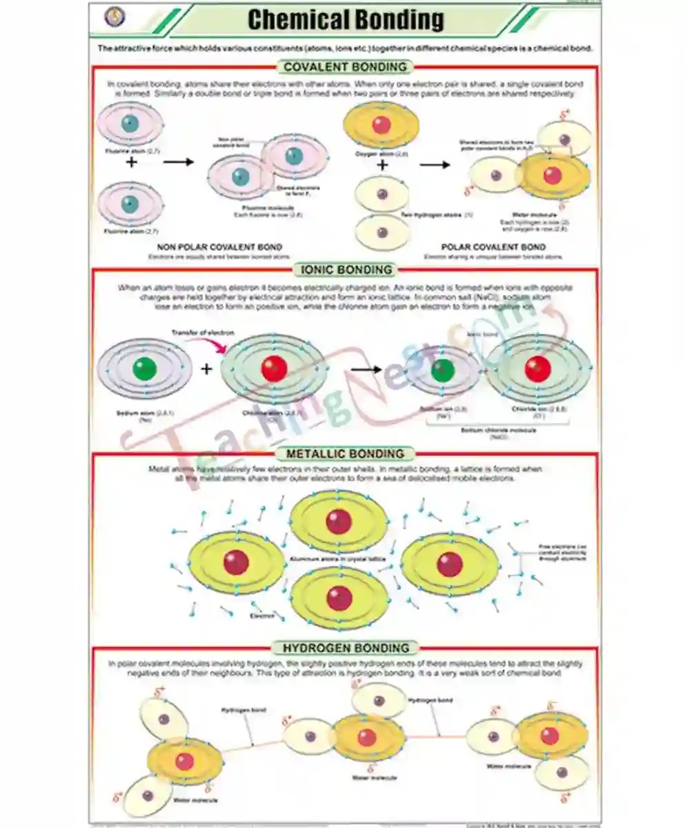 Chemical Bonding Chart Laminated, With Rollers TeachingNest