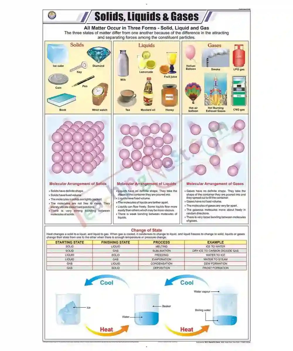 Solids, Liquids & Gases Chart - Laminated, With Rollers - TeachingNest