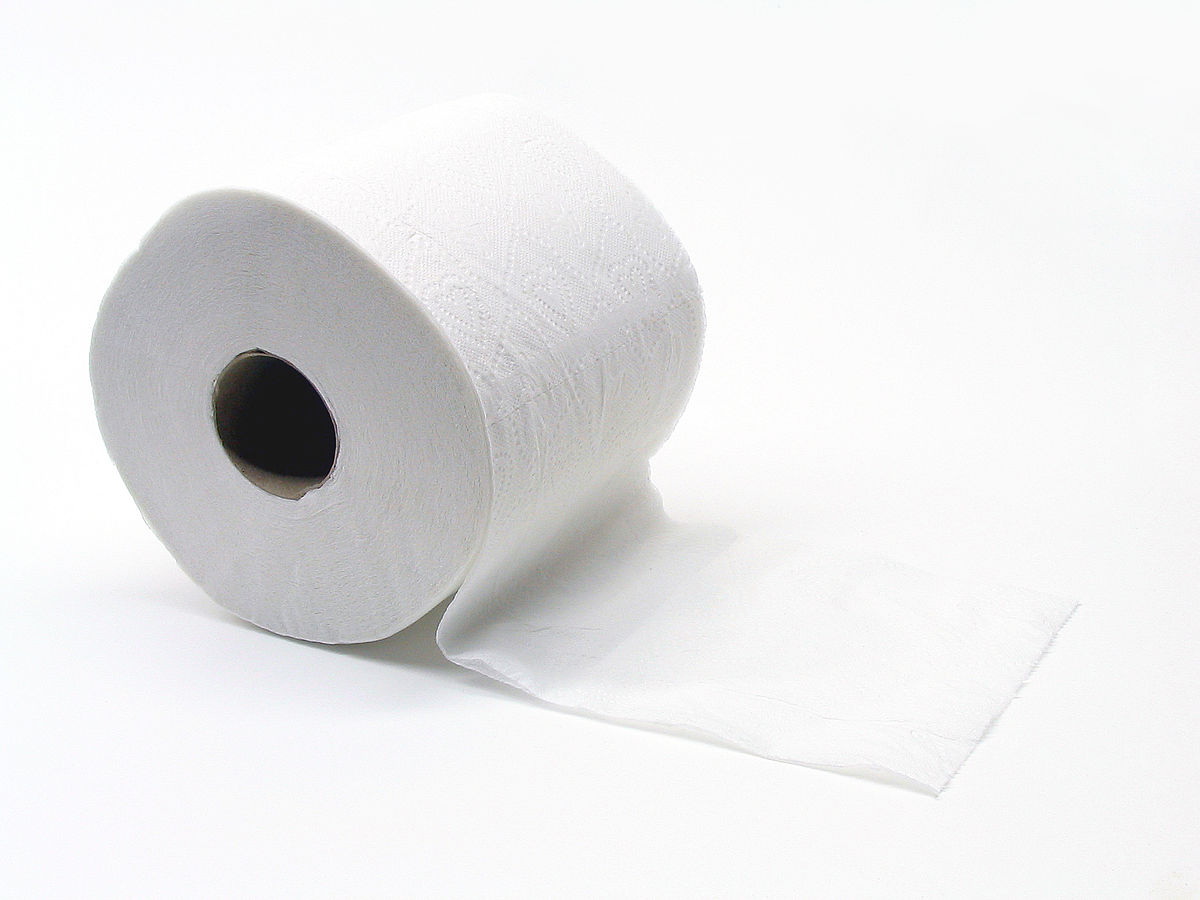 Toilet Paper Game EFL Teaching Recipes