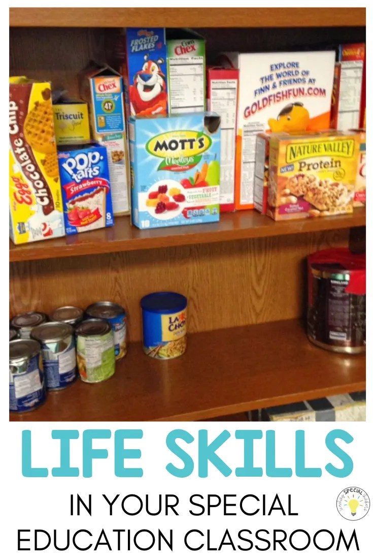 Teaching Functional Life Skills in Special Education Teaching Special