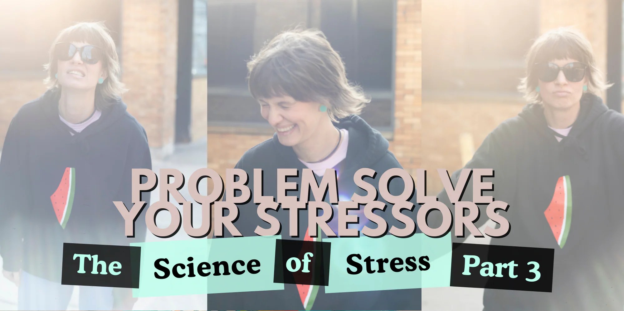 The Science of Stress Part 3 How to Problem Solve Your Stressors