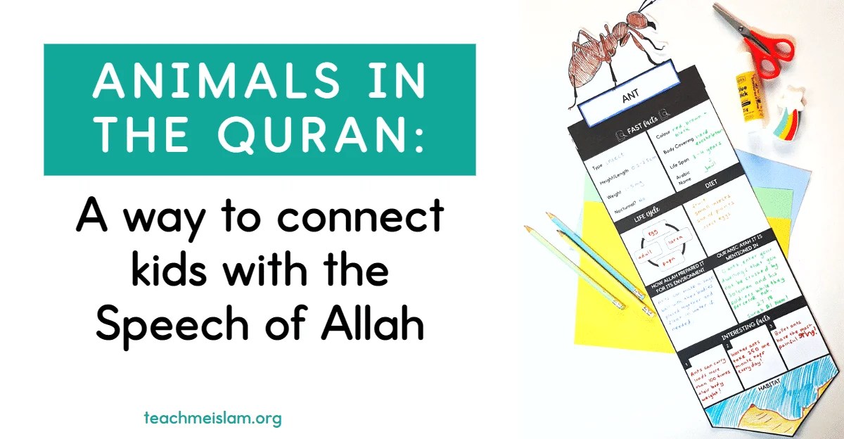 Animals in the Quran connect kids to the speech of Allah