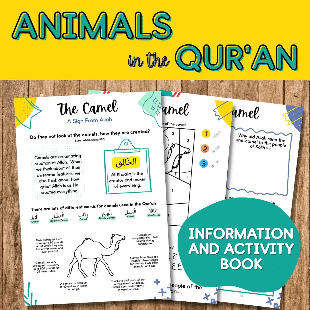 Animals in the Quran Teach Me Islam