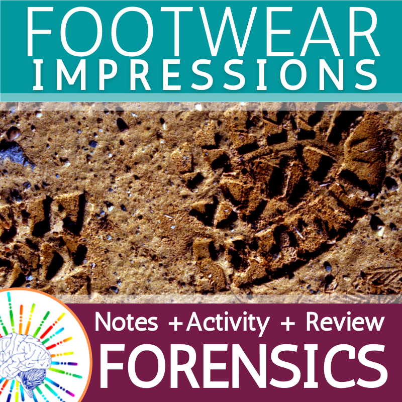 Forensic Footwear Impression Evidence Lesson Slides, Notes, Activities