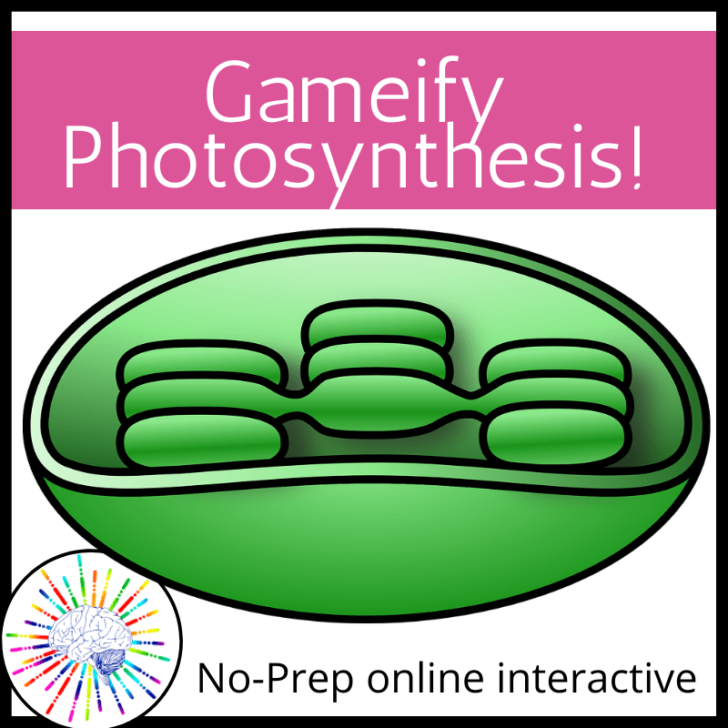 Photosynthesis Interactive Online Activity Guided Notes NO PREP!