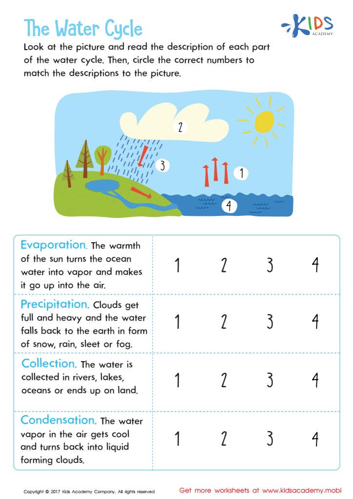 The Amazing Water Cycle 9 Best Interactive Worksheets for Kids The