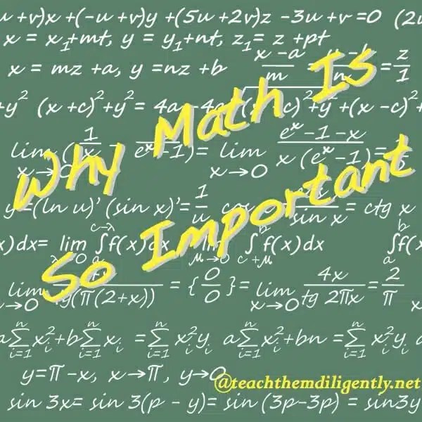 Why Math Is So Important Teach Them Diligently Blog