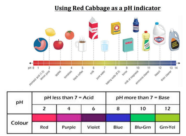 Science Magic Creating a pH Rainbow For Any Age Teach With Fergy