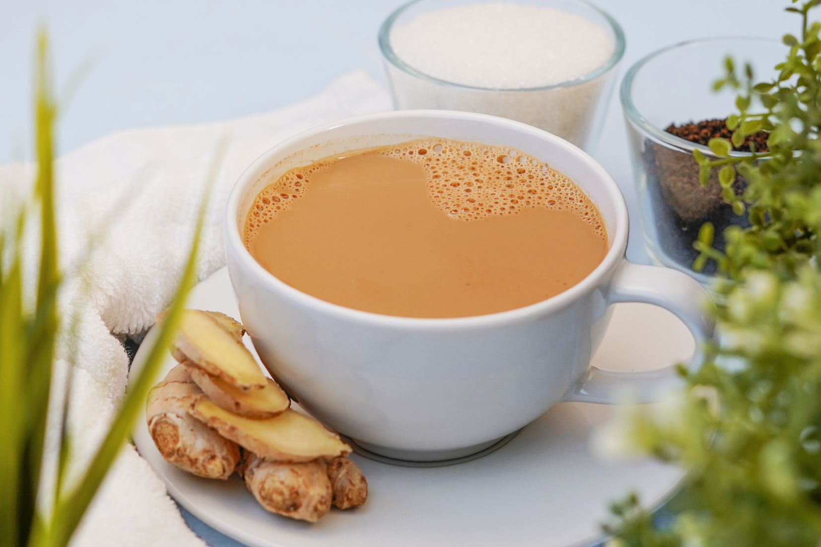 Tea House Tea House Franchise Tea Franchise cost