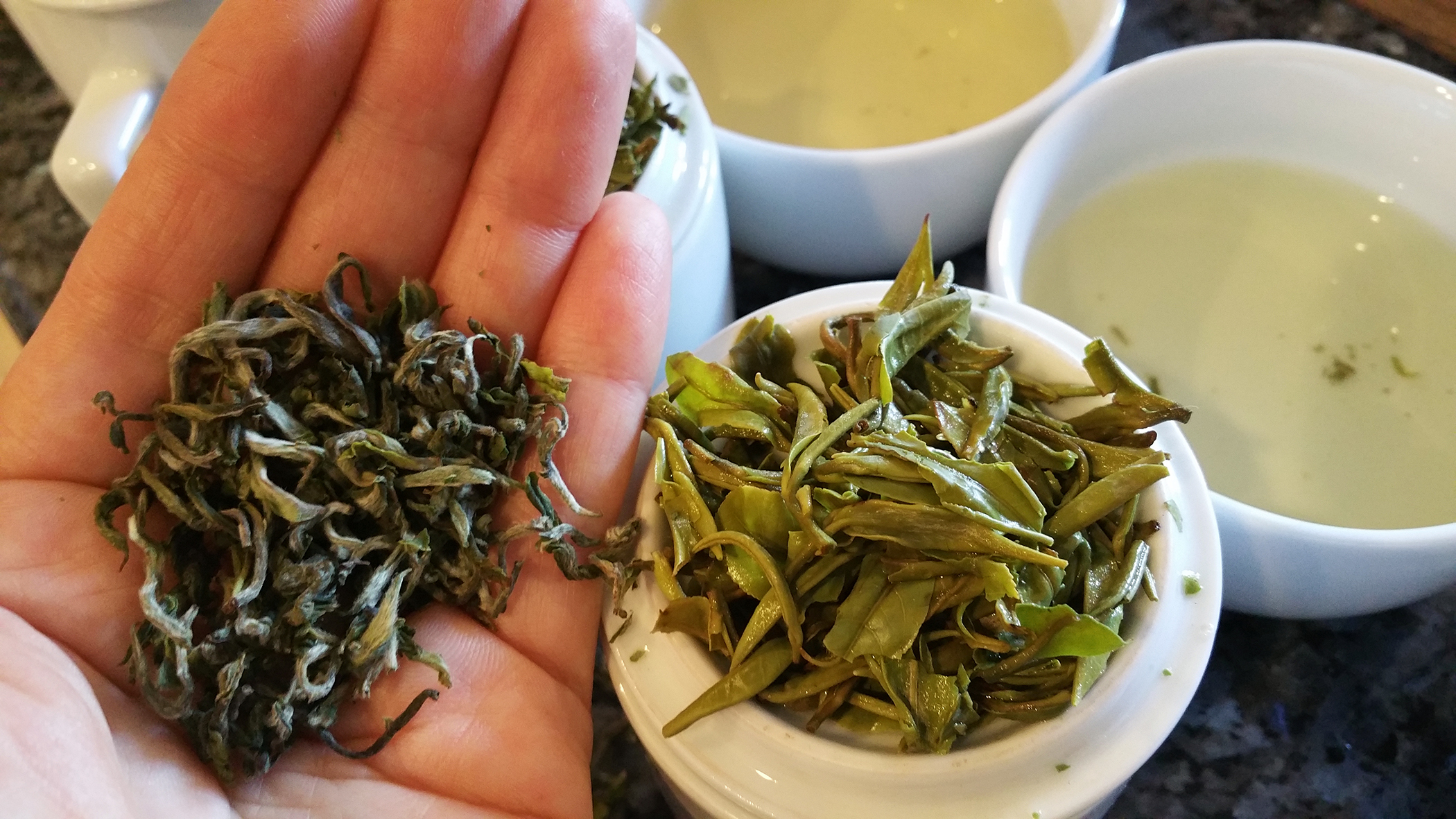 Viewpoint Why Tea Education Matters Tea Journey