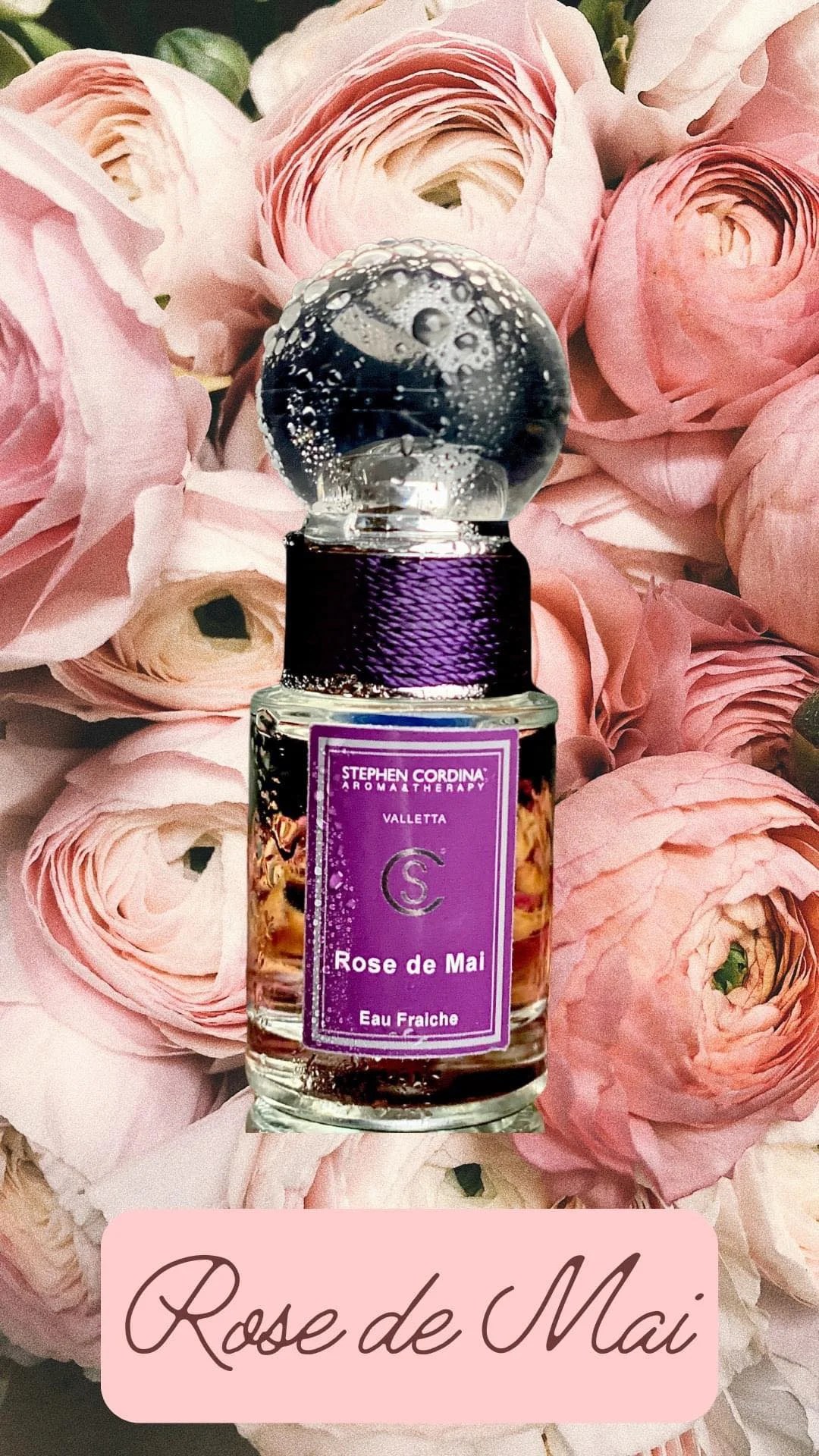 Rose de Mai Eau de Fraiche 100ml Teal