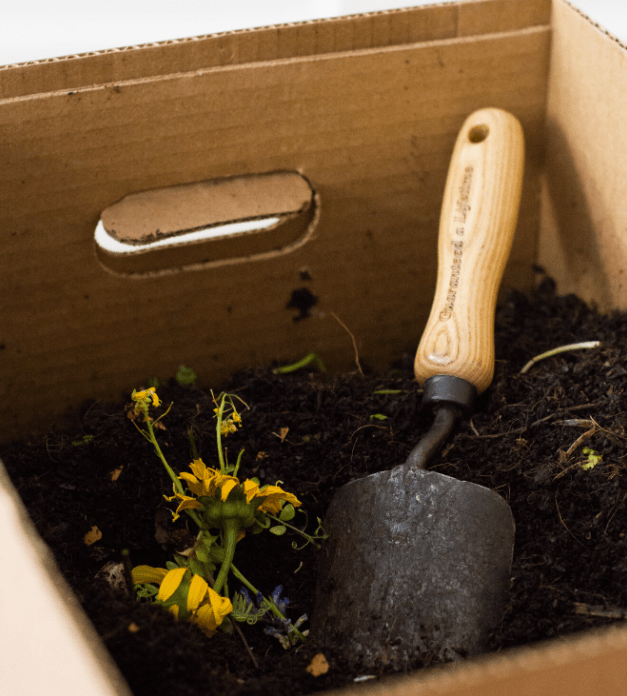 What to do with Used Tea Leaves? 3 Reuse & Repurpose Ideas