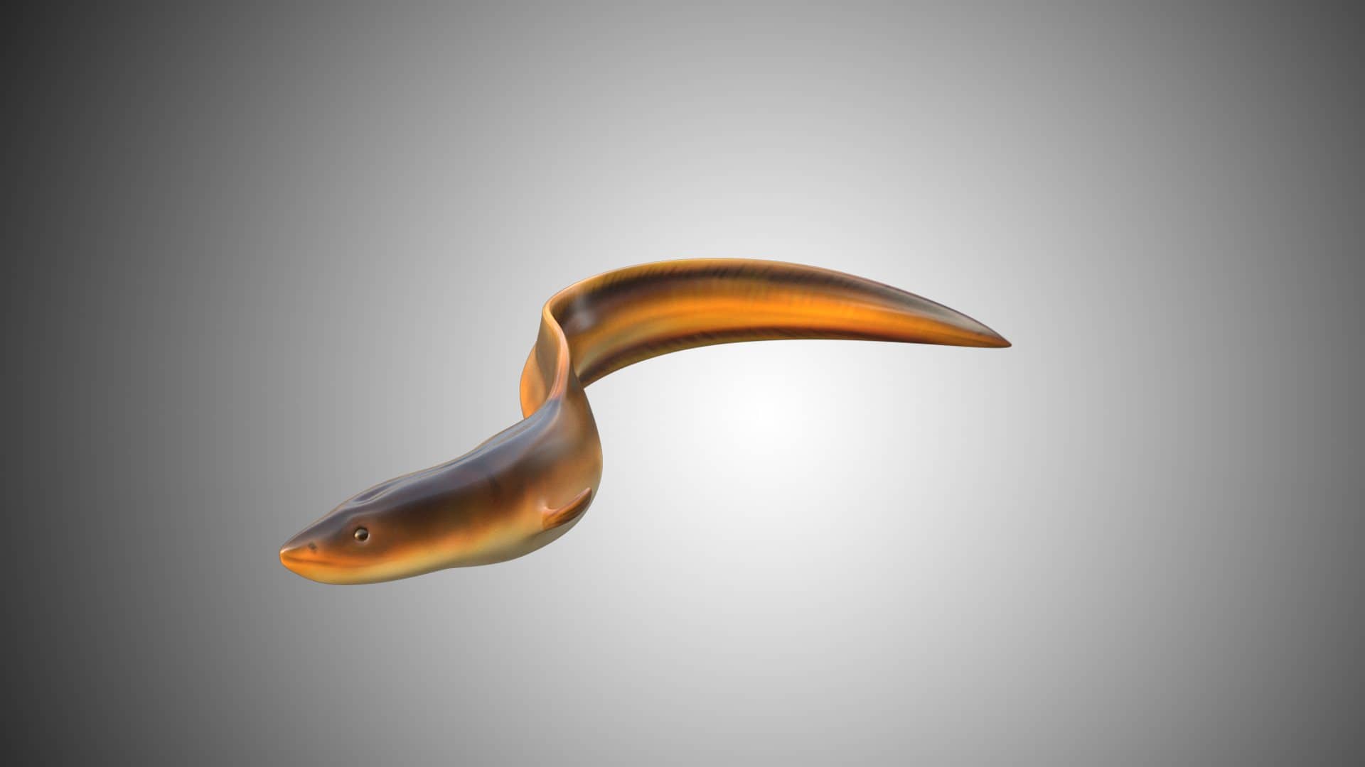Electric Eel 3D Model Rigged and Low Poly Game ready