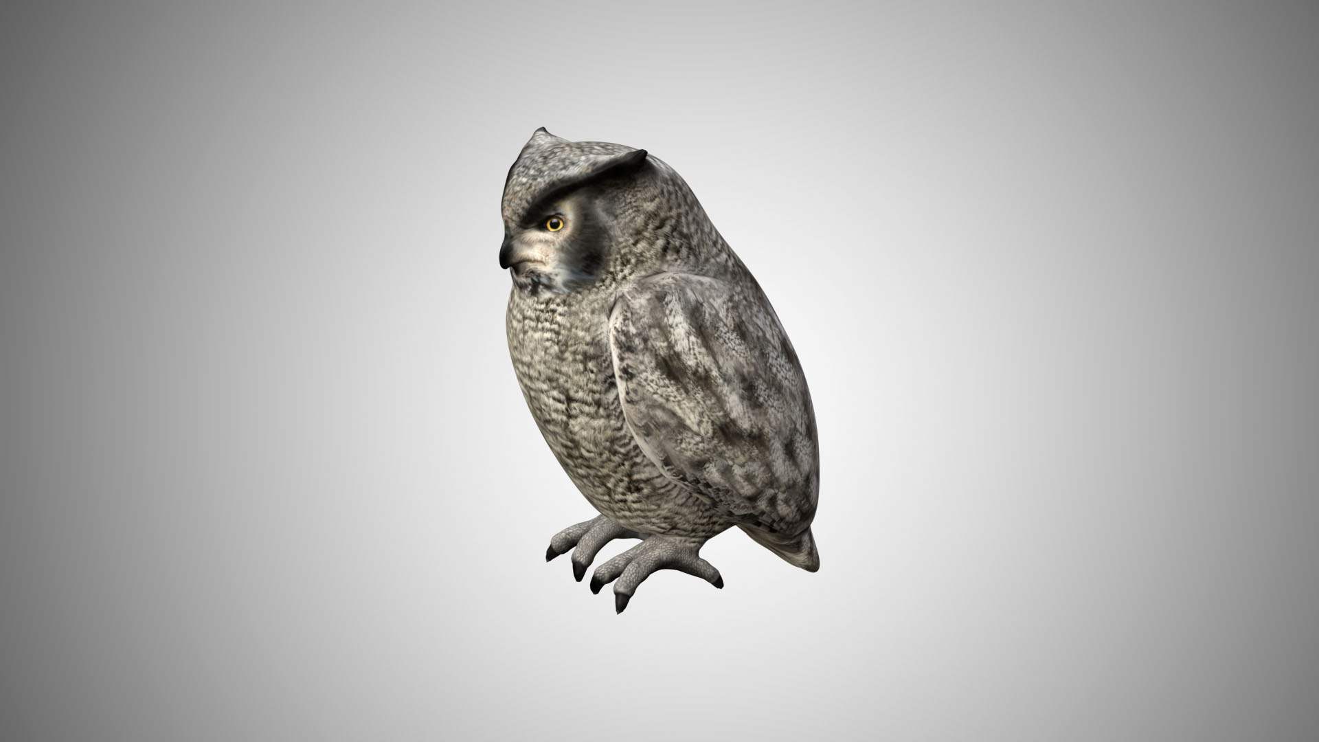 Owl 3D Model Rigged and Low Poly Game ready Team 3d Yard