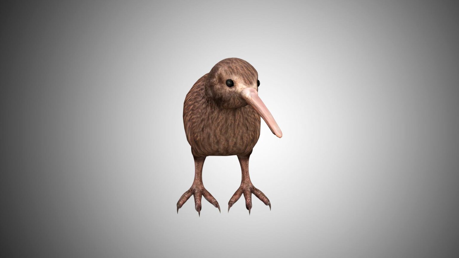 Kiwi bird 3D Model Rigged and Low Poly Game ready Team 3d Yard
