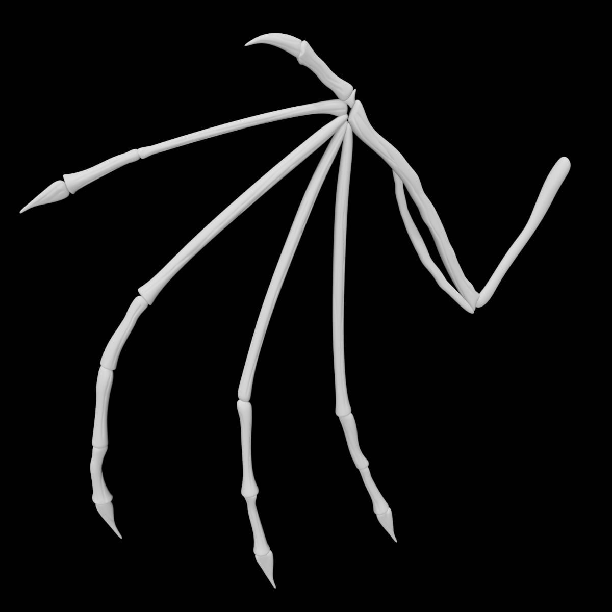 Bat wing 3d model Low Poly AR 3D Model Team 3d Yard