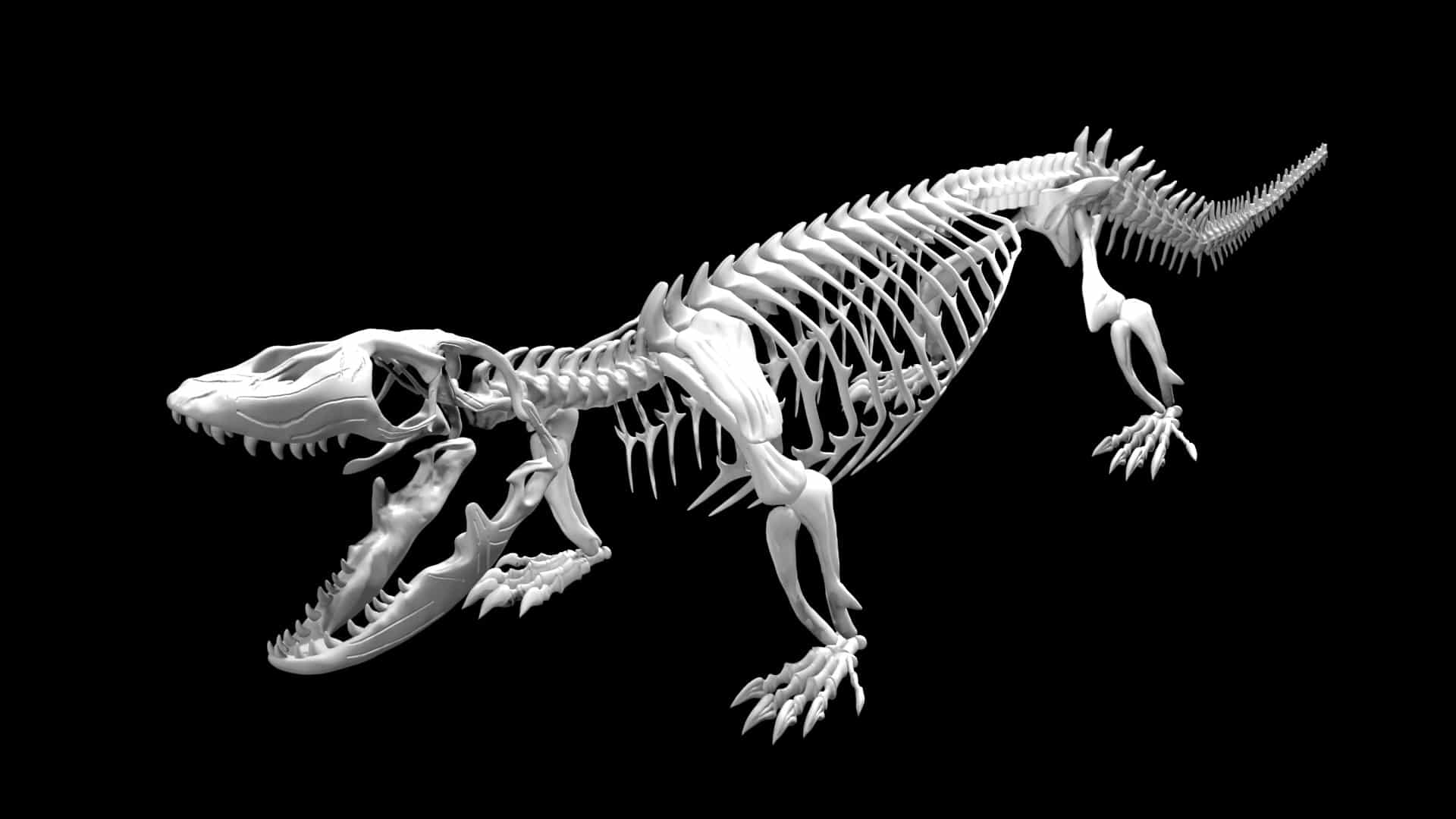 Monitor lizard skeleton 3d model Rigged and Low Poly Team 3d Yard