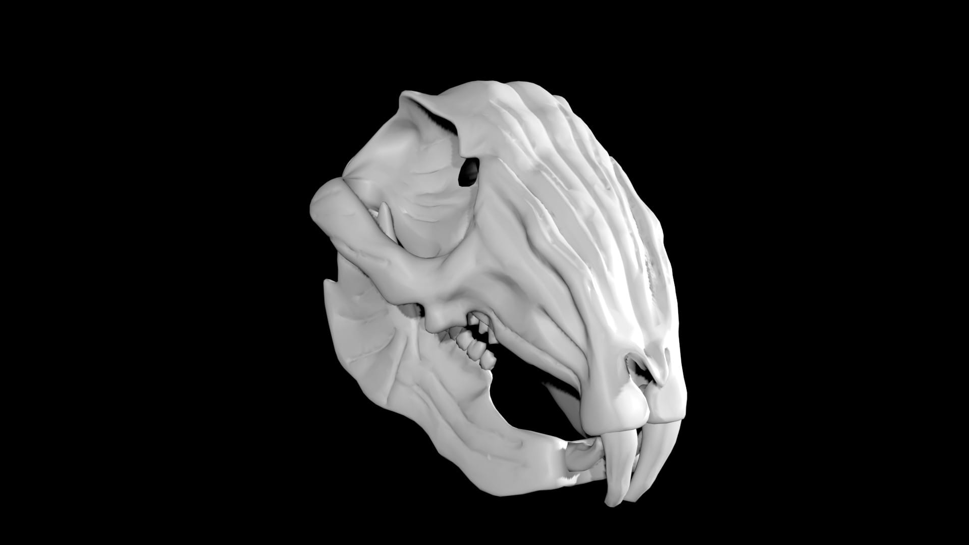 Rabbit skull 3d model Low Poly AR 3D Model Team 3d Yard