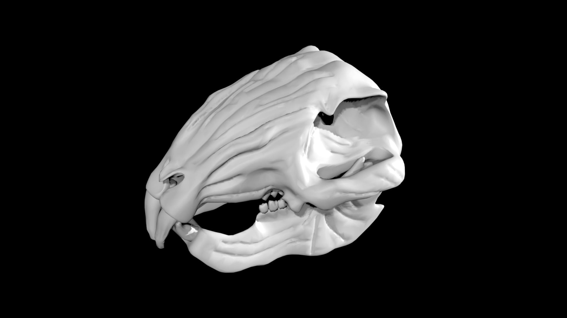 Rabbit skull 3d model Low Poly AR 3D Model Team 3d Yard