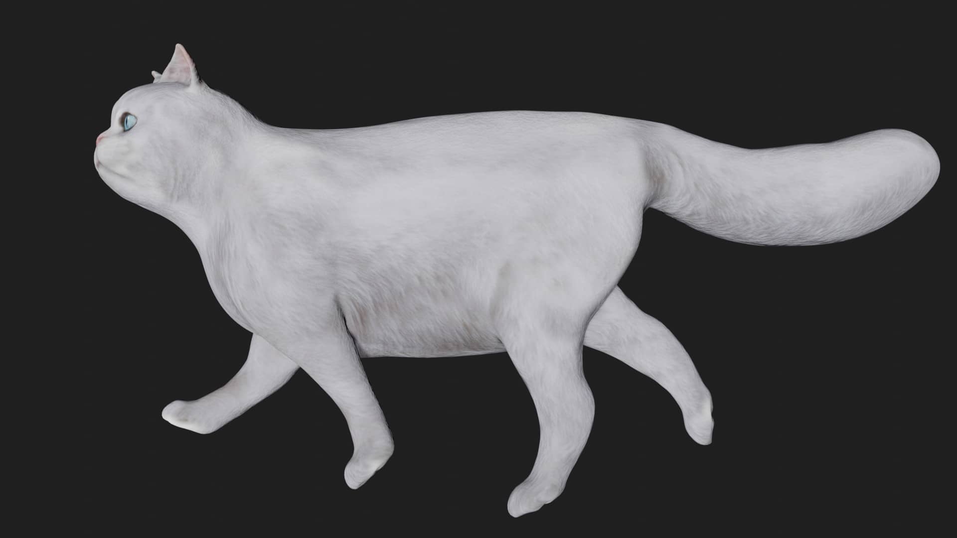 White cat 3d model Rigged and low poly Team 3d Yard