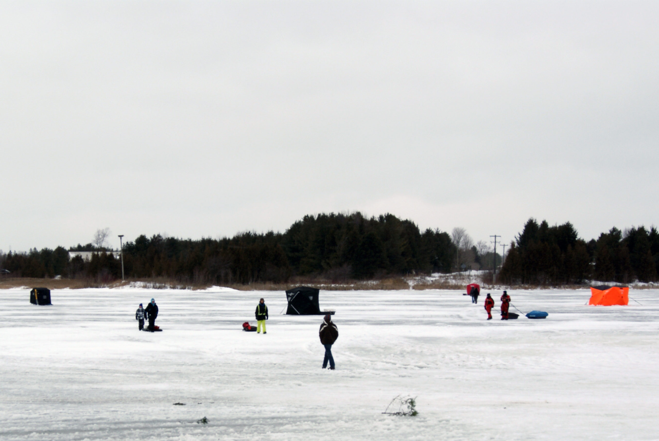 Five things to do This Family Day in Dufferin County Team Apex