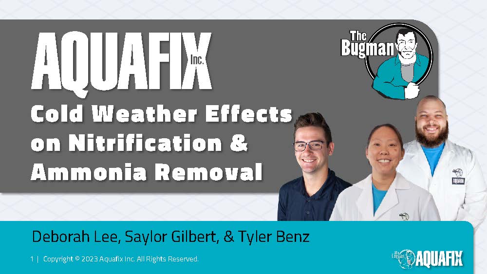 Wastewater Training - Cold Weather Effects on Nitrification & Ammonia