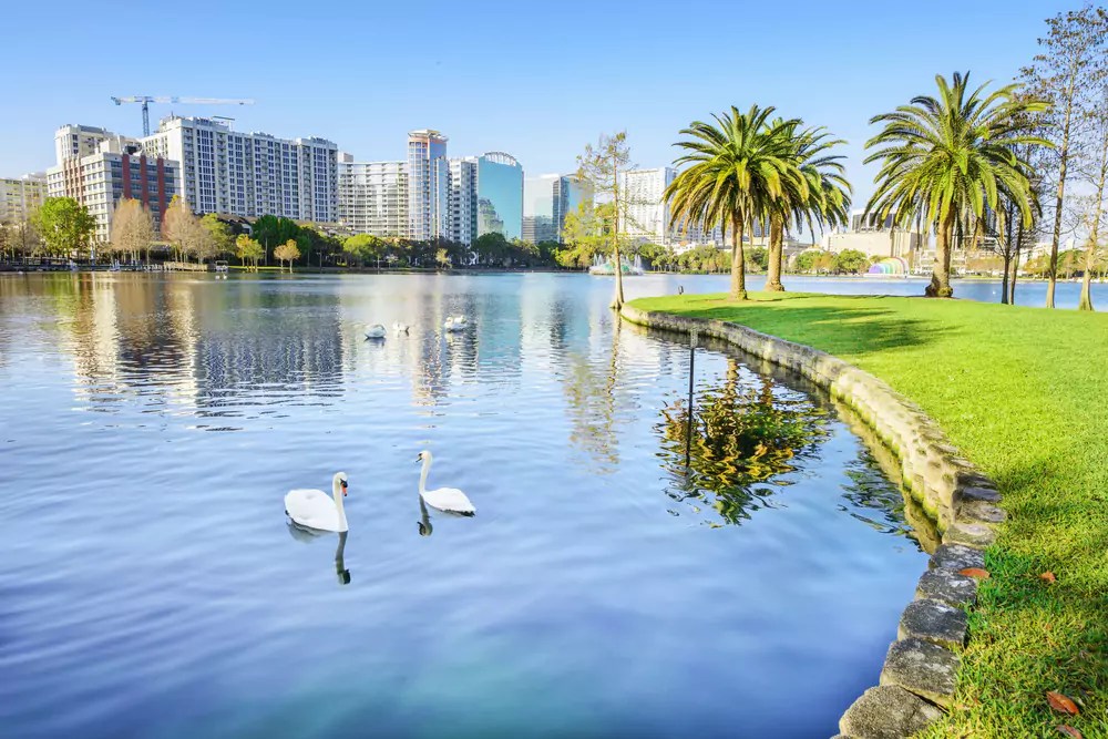 What to Do Near Universal Studios Orlando 16 Fun Ideas