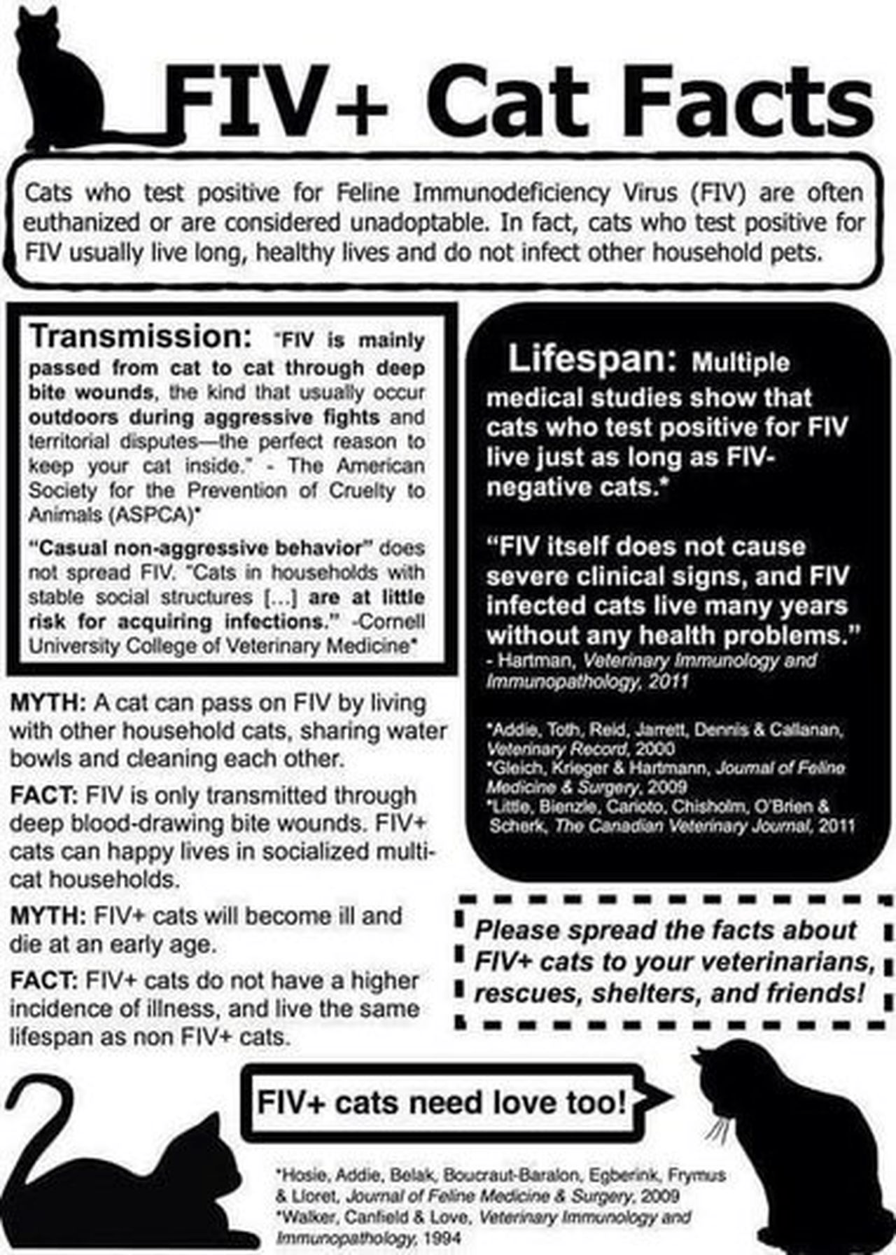 Facts About FIV Team Cat Rescue