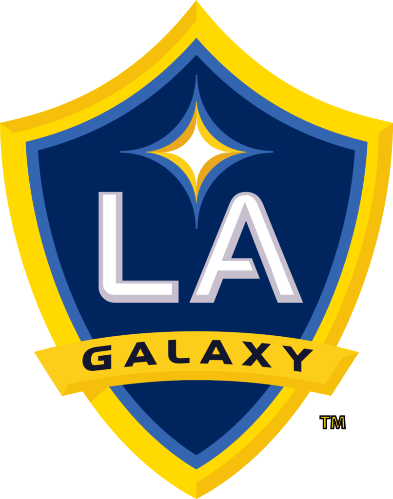LA Galaxy Color Codes Hex, RGB, and CMYK Team Color Codes