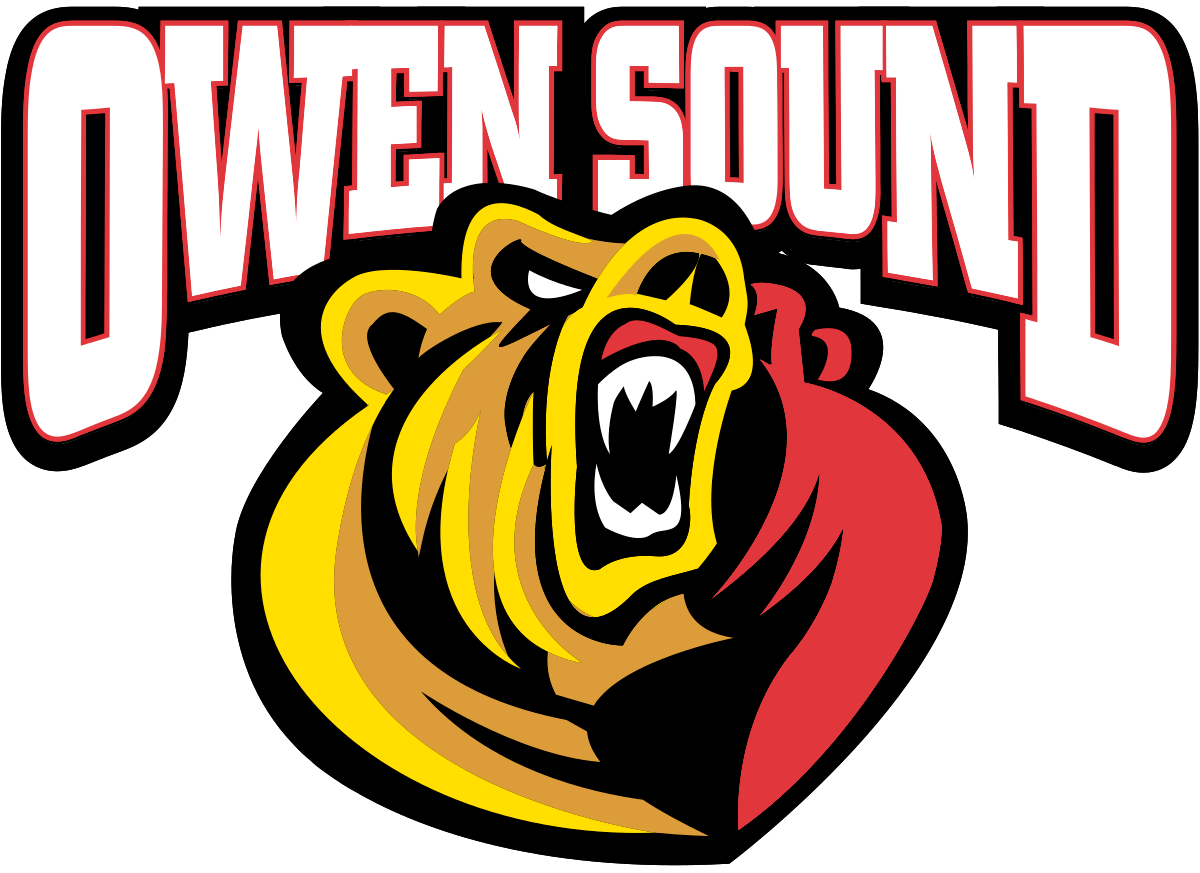 Owen Sound Attack Color Codes Hex, RGB, and CMYK Team Color Codes