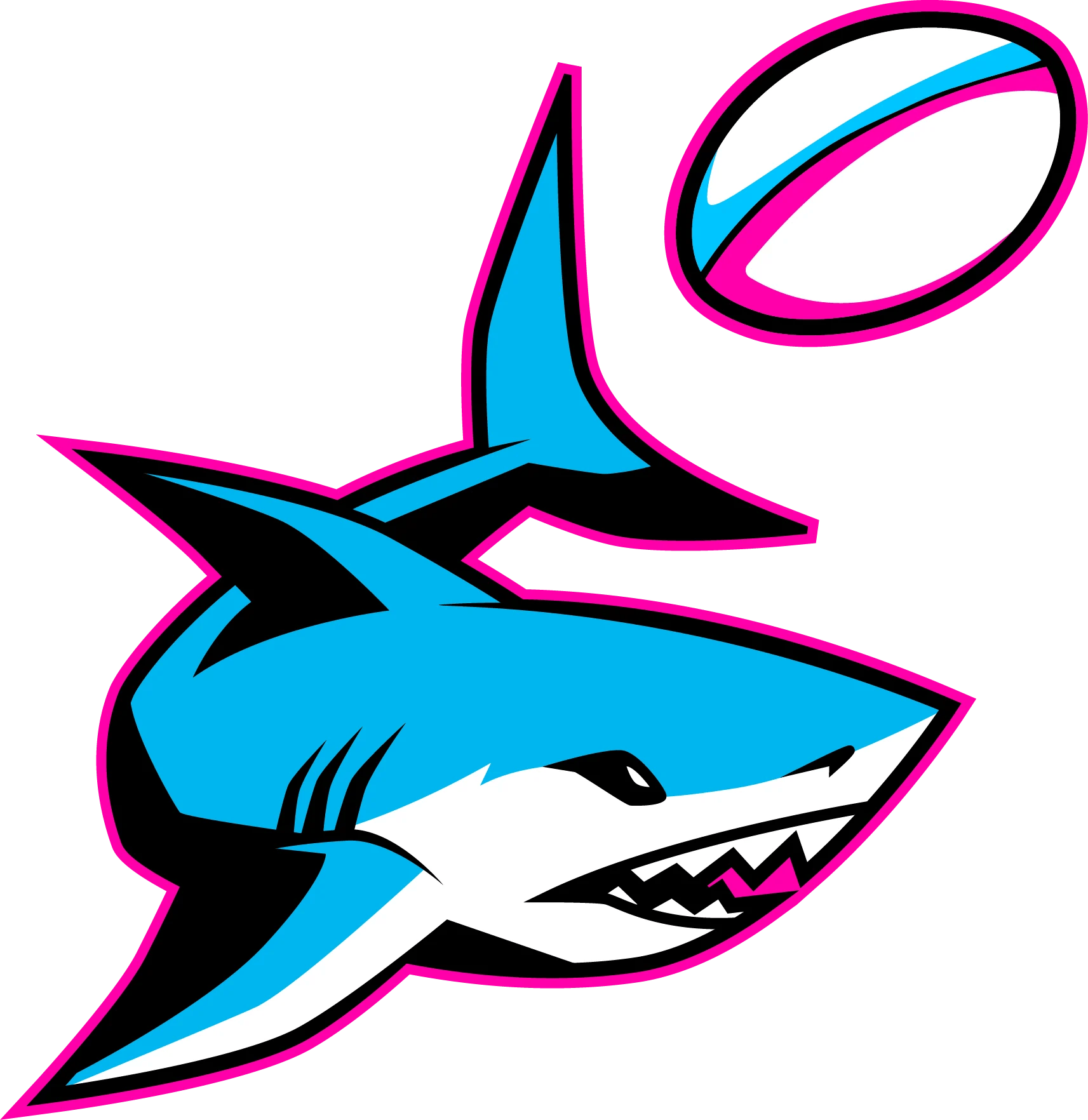 Miami Sharks Color Codes Hex, RGB, and CMYK Team Color Codes