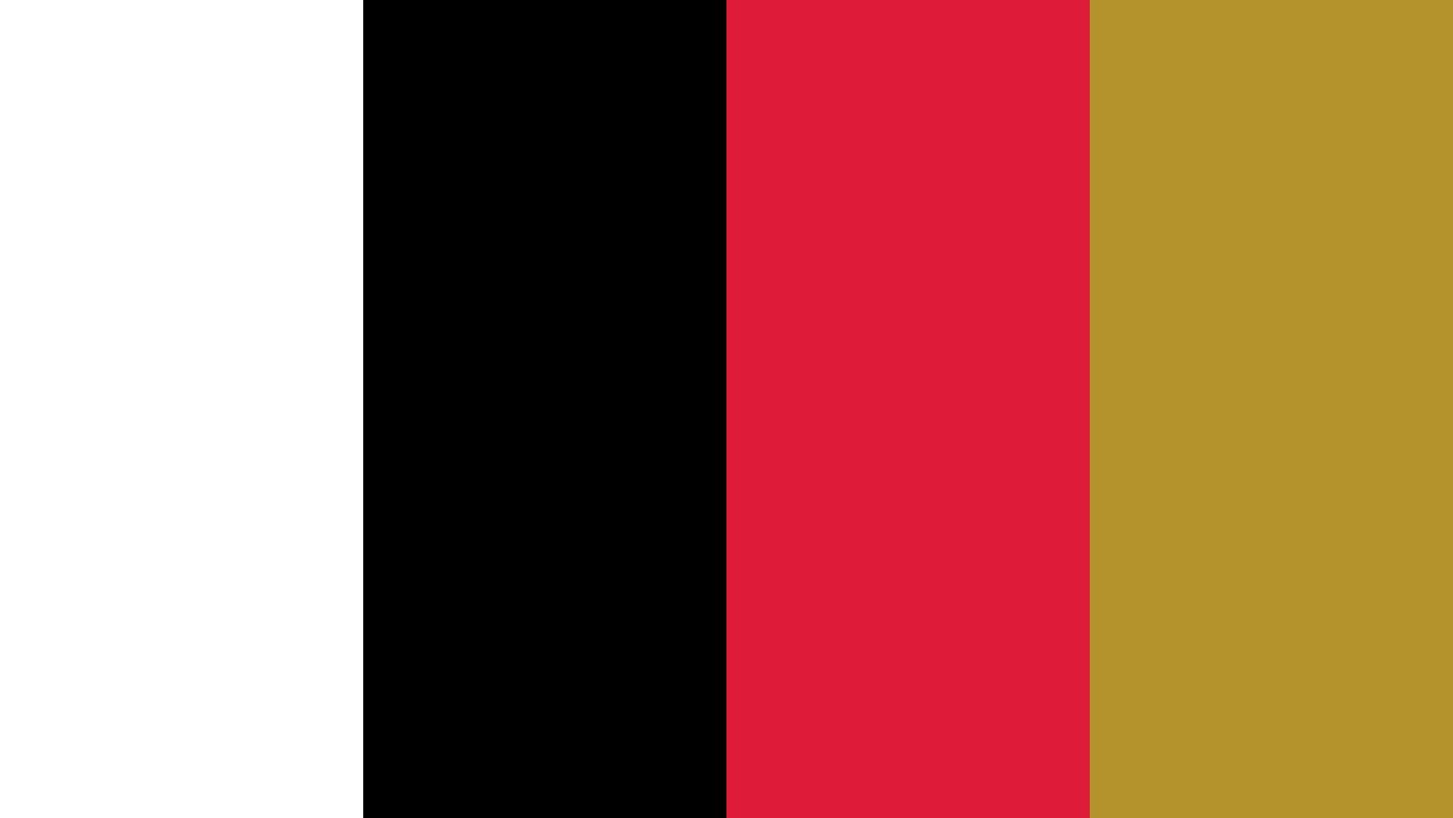Sparta Rotterdam Color Codes Hex, RGB, and CMYK Team Color Codes