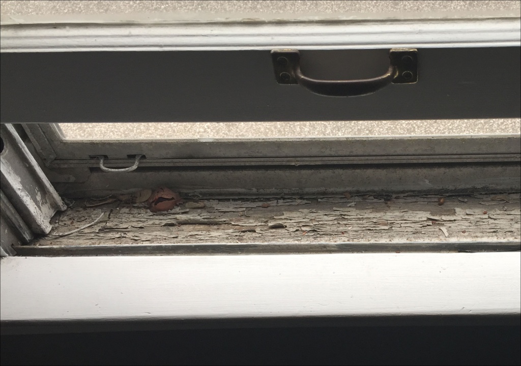 LEADBASED PAINT ABATEMENT Team EME 313.791.2600