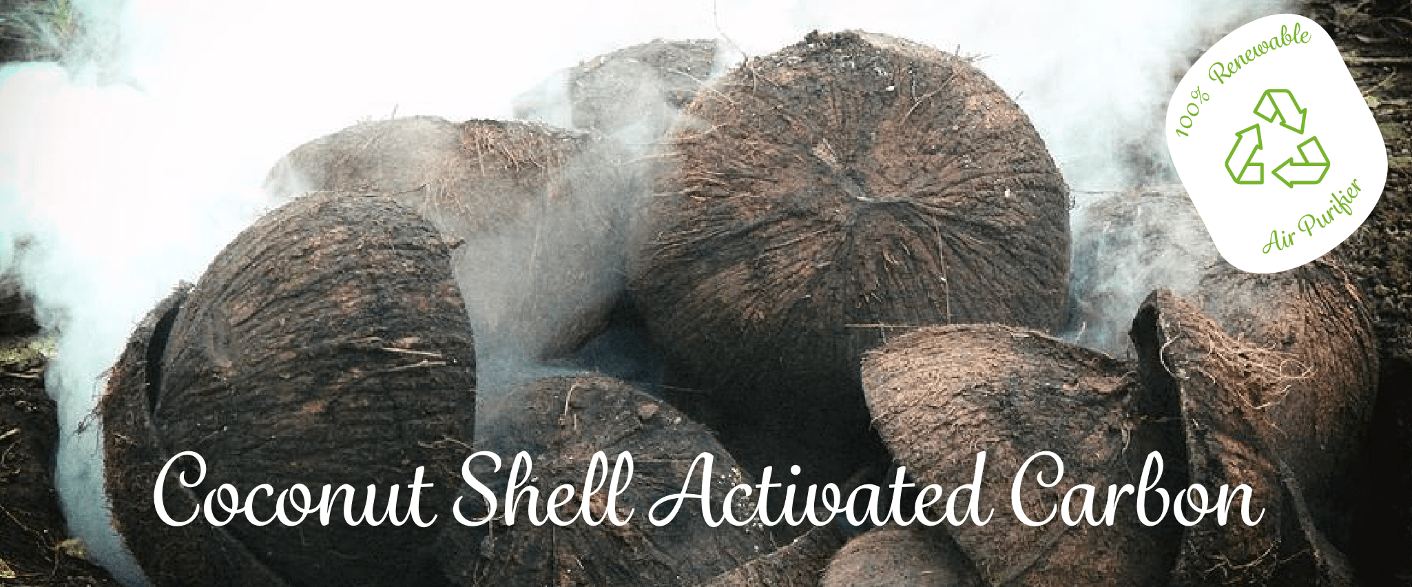 Coconut Shell Activated Carbon