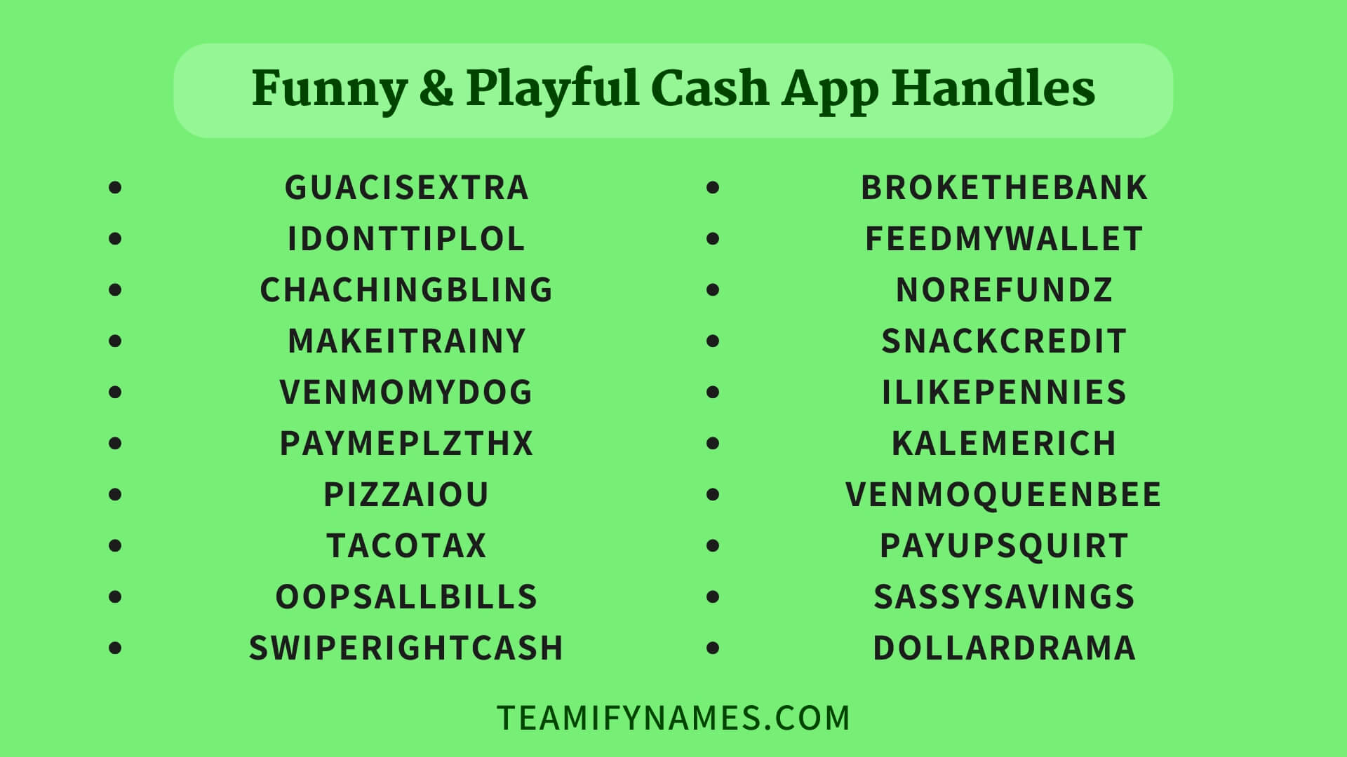 450+ Hilarious & Creative Cash App Names You’ll Wish You Thought Of(09)