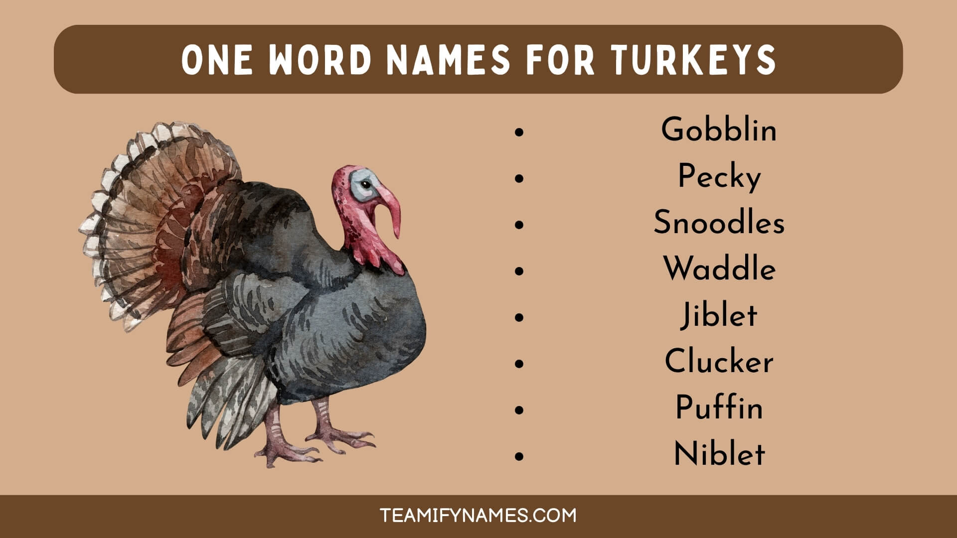 550+ Funny Turkey Names That Will Make You Gobble with Laughter(08)